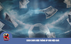 Cach choi cuoc thang ap dao hieu qua Cách chơi cược thắng áp đảo hiệu quả