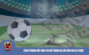 Cach tranh bay nha cai de tranh bi lua dao khi ca cuoc Cách tránh bẫy nhà cái để tránh bị lừa đảo khi cá cược