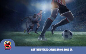 Gioi thieu ve keo chan le trong bong da Giới thiệu về kèo chẵn lẻ trong bóng đá