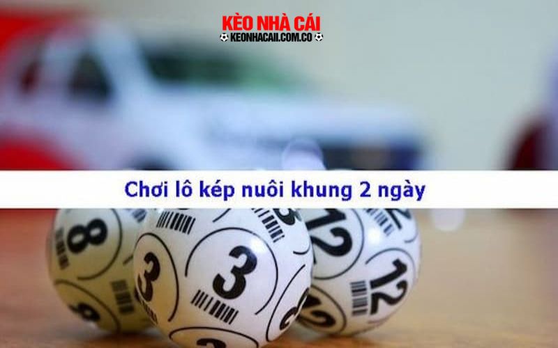 keonhacai Chọn những con số may mắn trước khi tiến hành nuôi bạch thủ lô