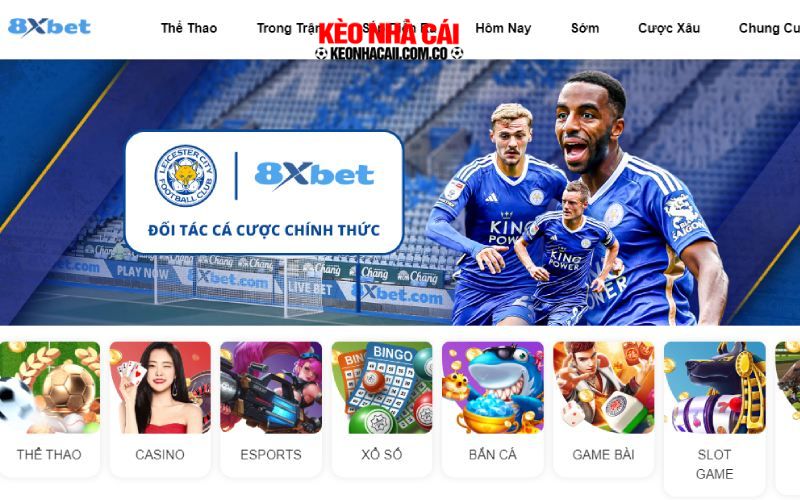 8xbet 6 Sảnh cá cược thể thao 8XBET