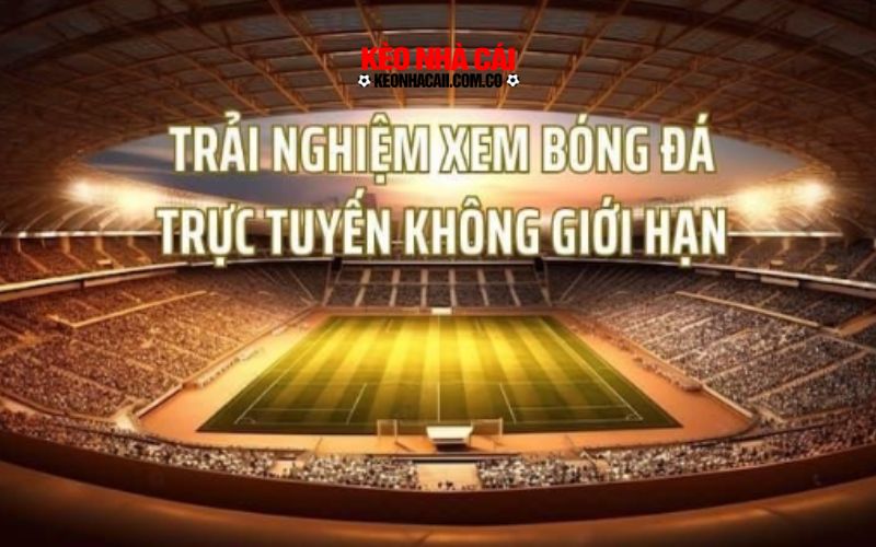 luongson 2 Ưu điểm vượt trội tại trang tin tức bóng đá