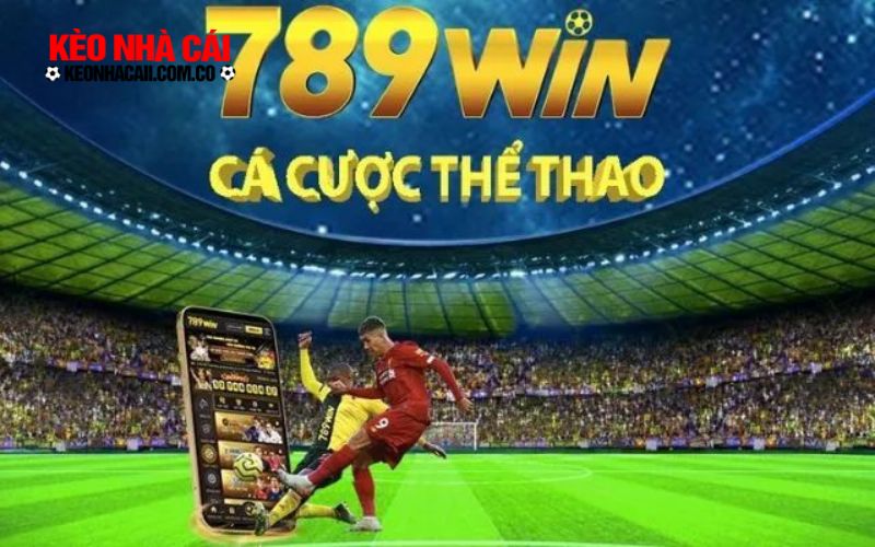789win 2 Đa dạng môn cược thể thao