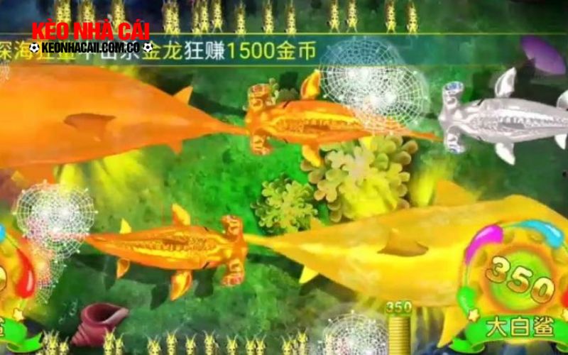 ban ca 3 Sức hút khó cưỡng của cổng game bắn cá đối với anh em