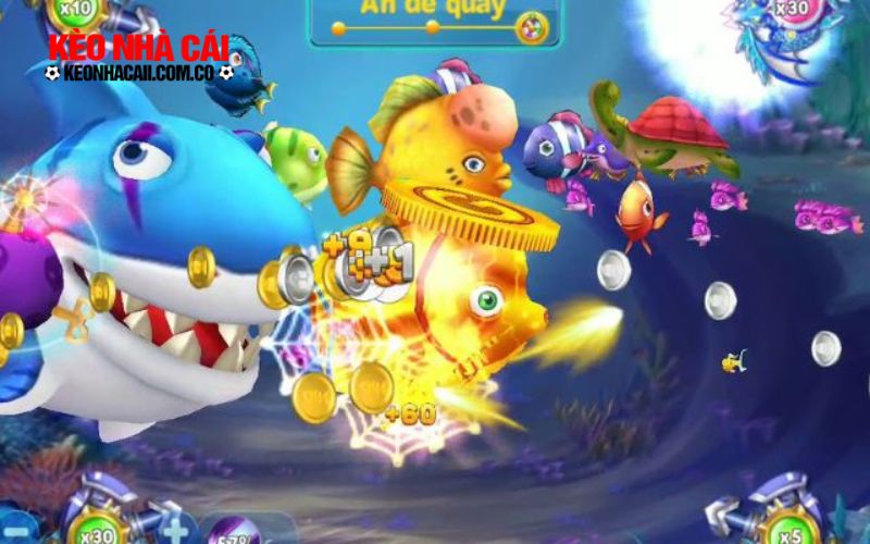 ban ca 4 Bước chân vào thế giới dưới đại dương đầy màu sắc ngay