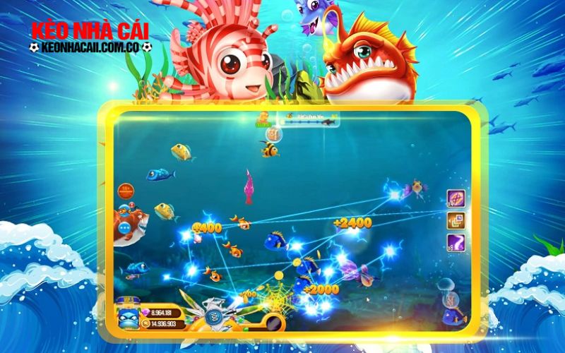 ban ca 5 Săn cá vàng với tỷ lệ thắng siêu cao