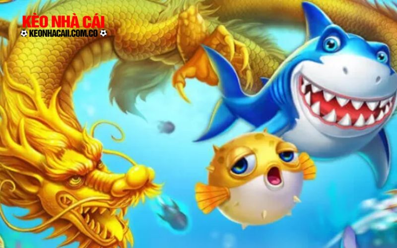 ban ca 9 Ưu điểm của địa chỉ săn cá trực tuyến