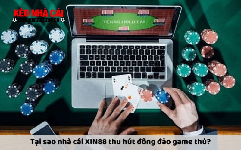 nha cai XIN88 Tại sao nhà cái XIN88 thu hút đông đảo game thủ?