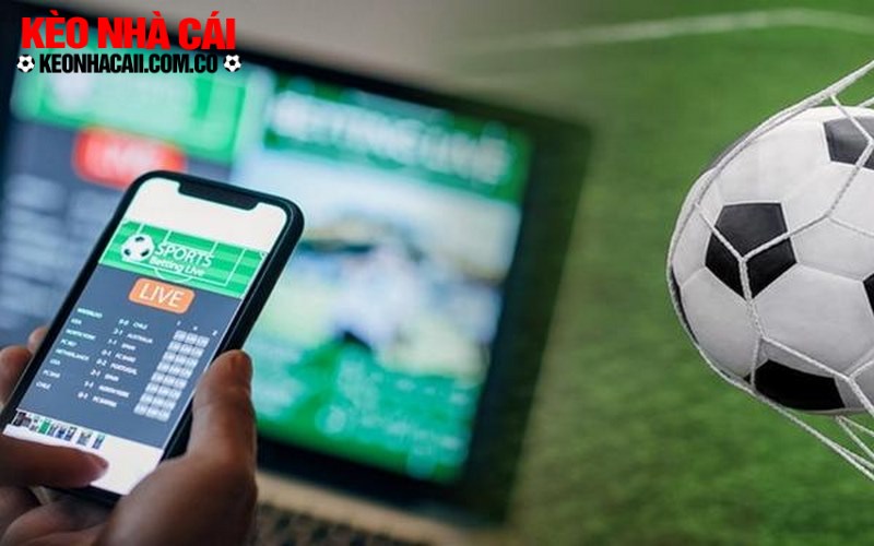 Keo Nha Cai 5 tu hao la nen tang chuyen cung cap tin tuc chinh Kèo Nhà Cái 5 tự hào là nền tảng chuyên cung cấp tin tức chính xác