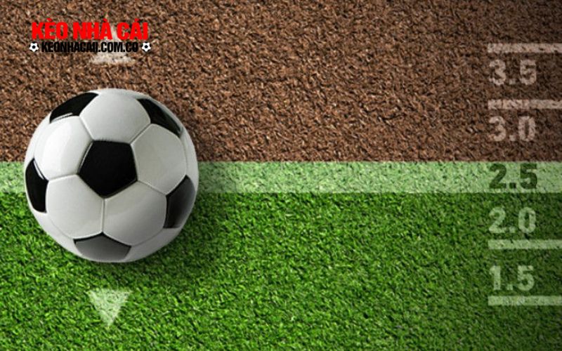 Keo Tai Xiu 2 Kinh nghiệm chơi Tài Xỉu chắc thắng cho tân thủ