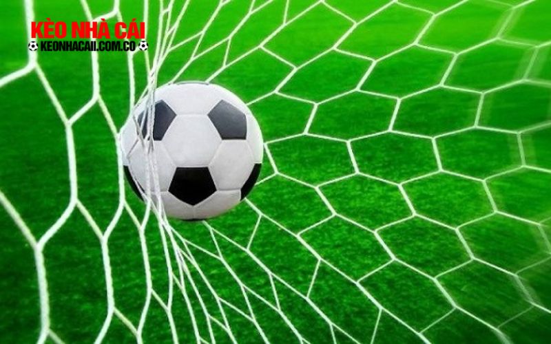Keo Tai Xiu 3 Các loại kèo và cách đọc kèo Tài Xỉu trong bóng đá