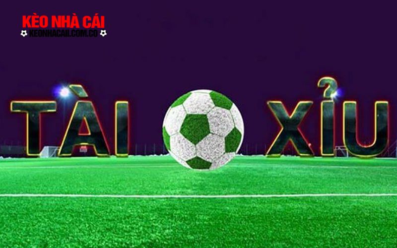 Nohu 2 1 Đa dạng kèo chấp - Cơ hội gia tăng chiến thắng