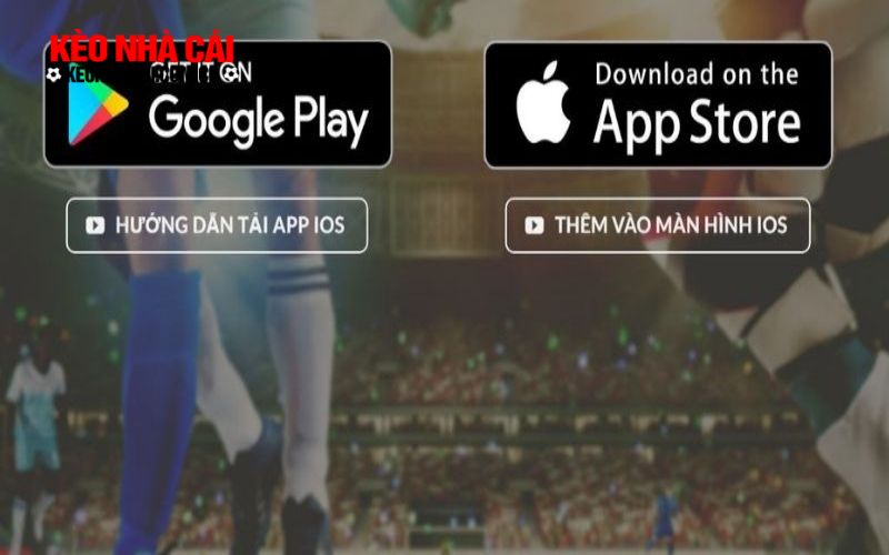 Tai app Bk8 2 Hướng dẫn dễ hiểu cách tải app Bk8 cho hội viên