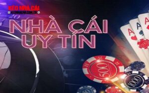 Tổng quát về nhà cái trực tuyến Vsbet