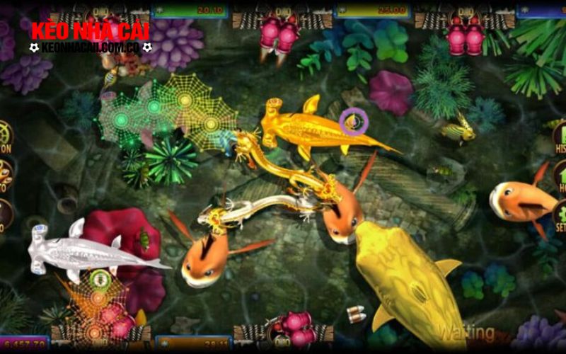 ban ca mod 2 Cách Tải và Sử dụng Bắn Cá MOD