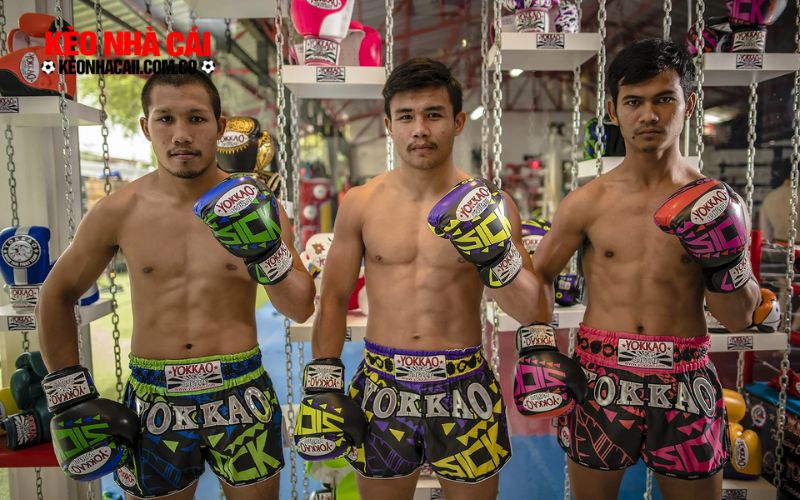 the thao ao 2 Phân tích kèo quyền Thái Yokkao để đặt cược hiệu quả