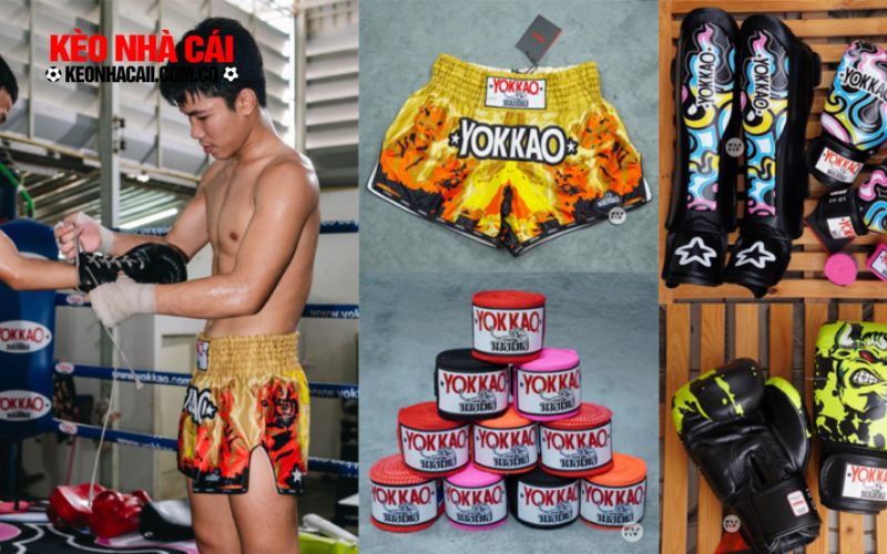 the thao ao Cách đọc kèo quyền Thái Yokkao tại hi88