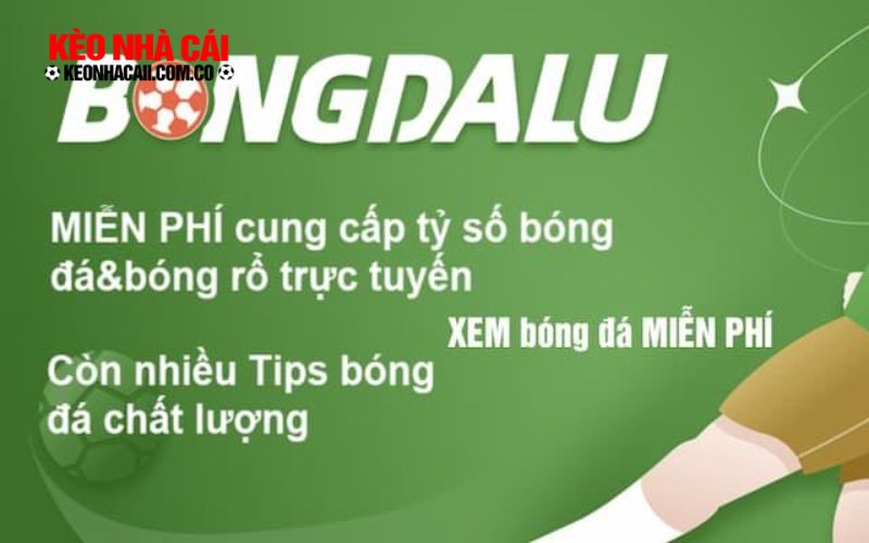 bongdalu 2 Mục đích thành lập trang bóng đá Bongdalu