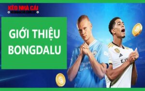 Giới thiệu Bongdalu – Trang bóng đá nổi tiếng