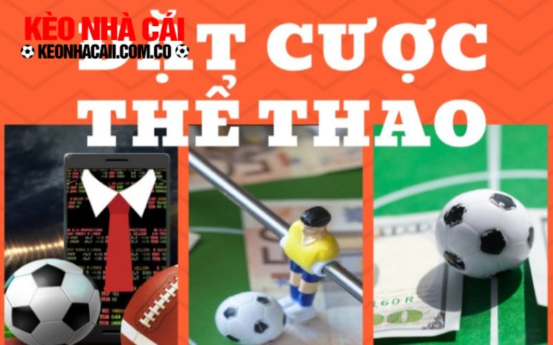 Các dịch vụ cá cược tại nhà cái ku3933