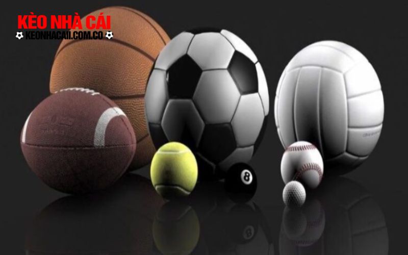 Giới thiệu vài nét về kênh tổng hợp thông tin Vsthethao