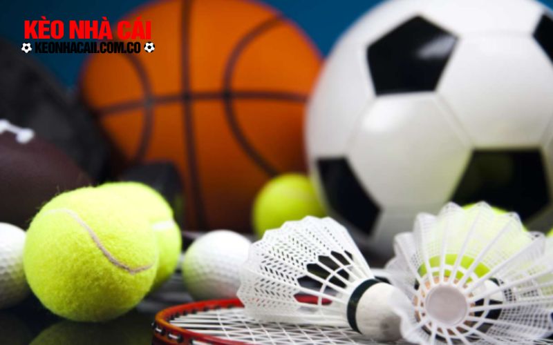 Lý do anh em bet thủ nên theo dõi Vsthethao mỗi ngày